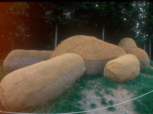 [thumbnail of Picture 28]