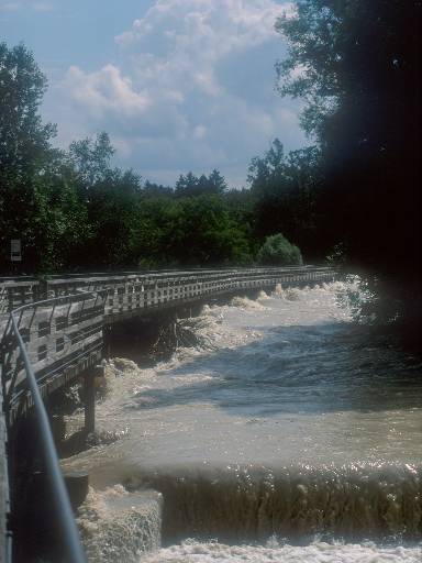 [thumbnail of Picture 5]