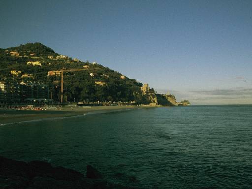 [thumbnail of Picture 9]